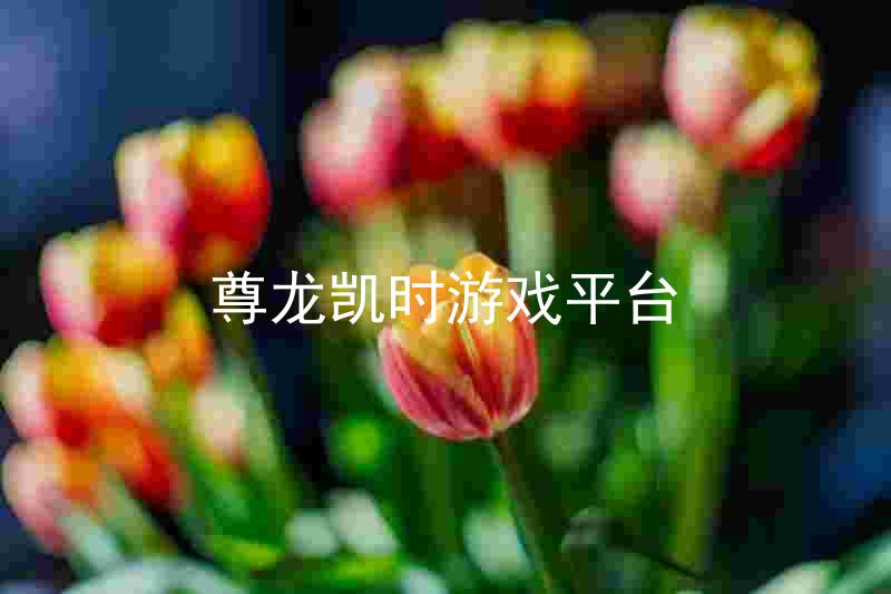 尊龙凯时游戏平台