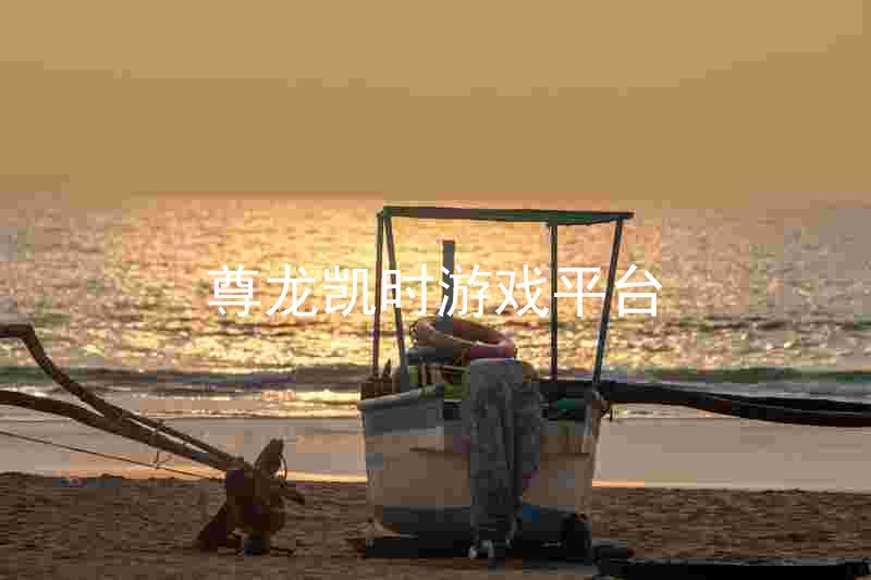 尊龙凯时游戏平台