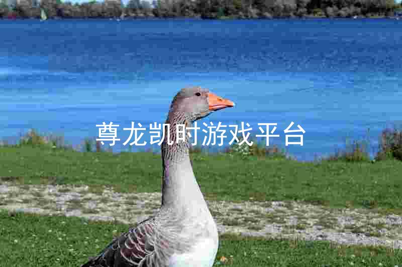 尊龙凯时游戏平台