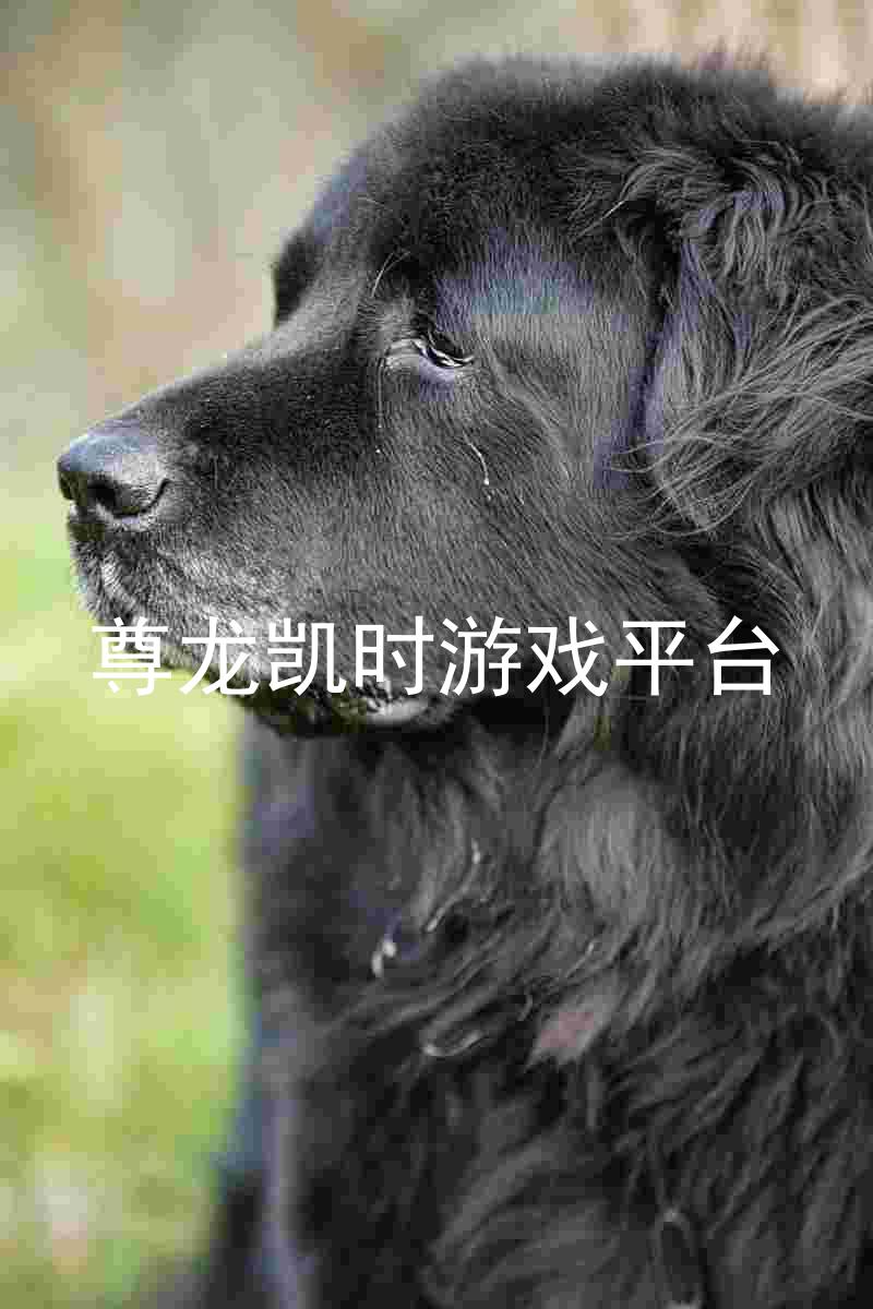 尊龙凯时游戏平台