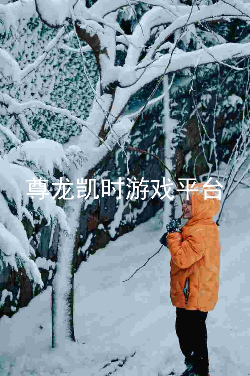 尊龙凯时游戏平台