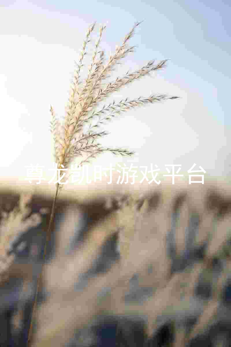 尊龙凯时游戏平台