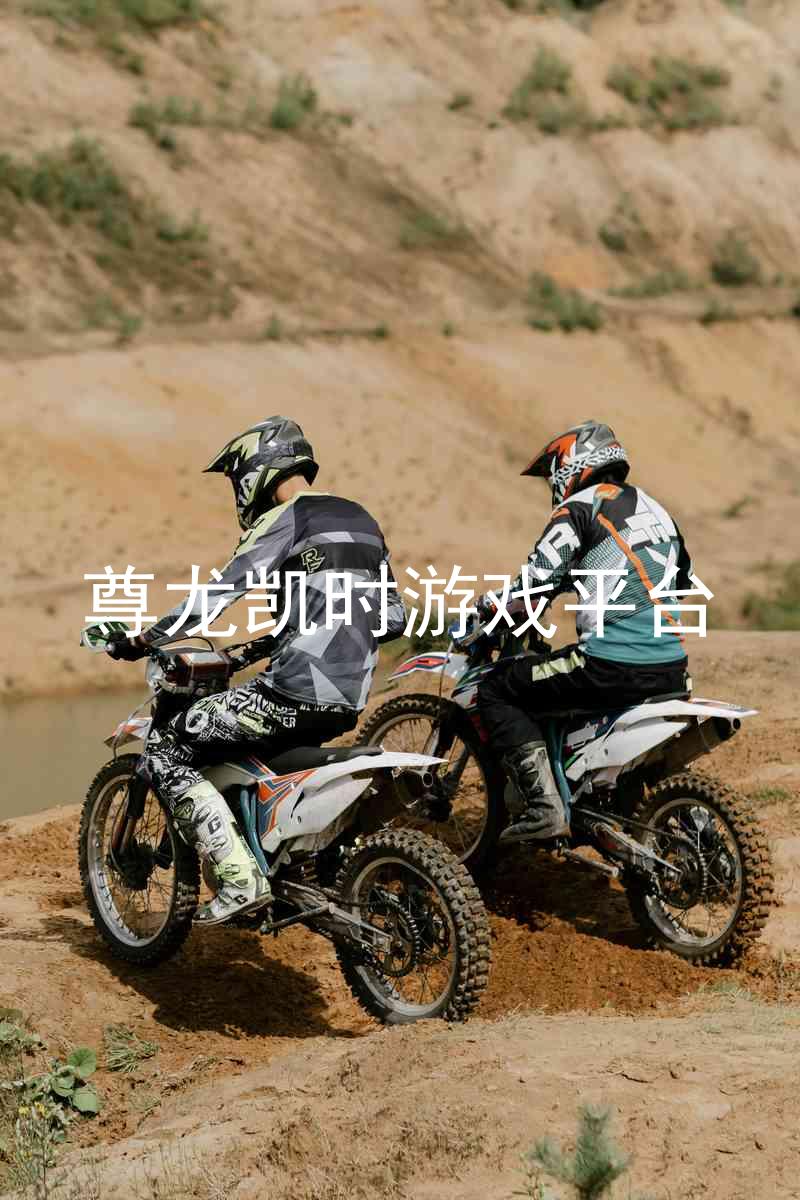 尊龙凯时游戏平台