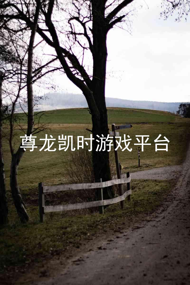 尊龙凯时游戏平台