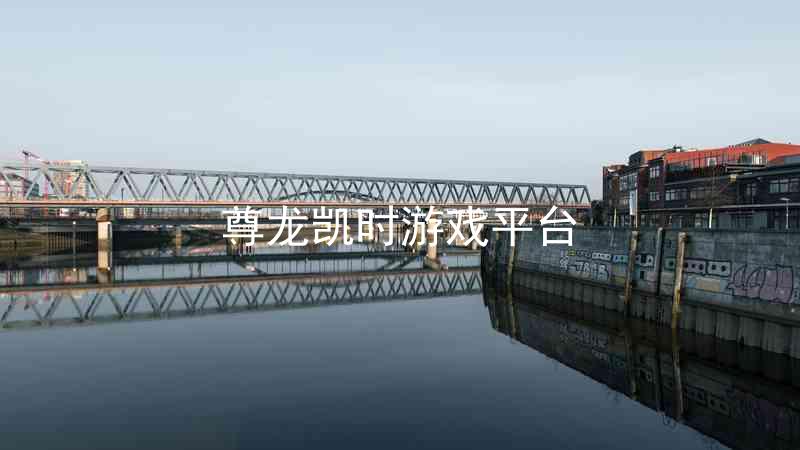 尊龙凯时游戏平台