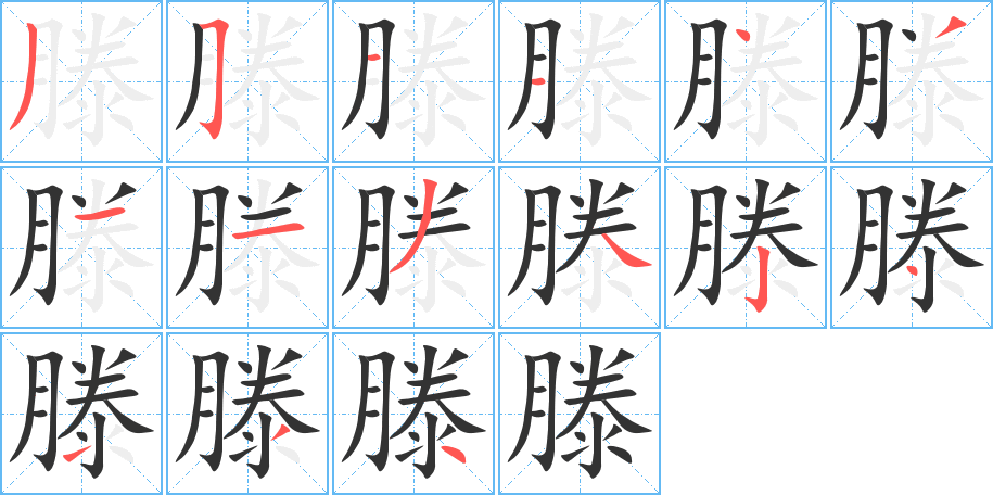 滕字的分步写法
