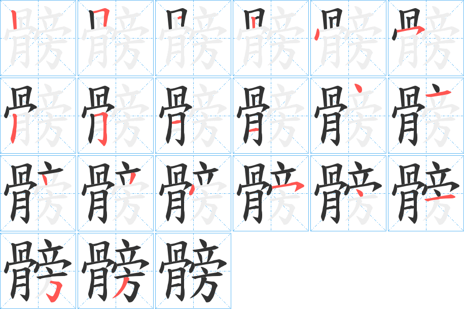髈字的分步写法