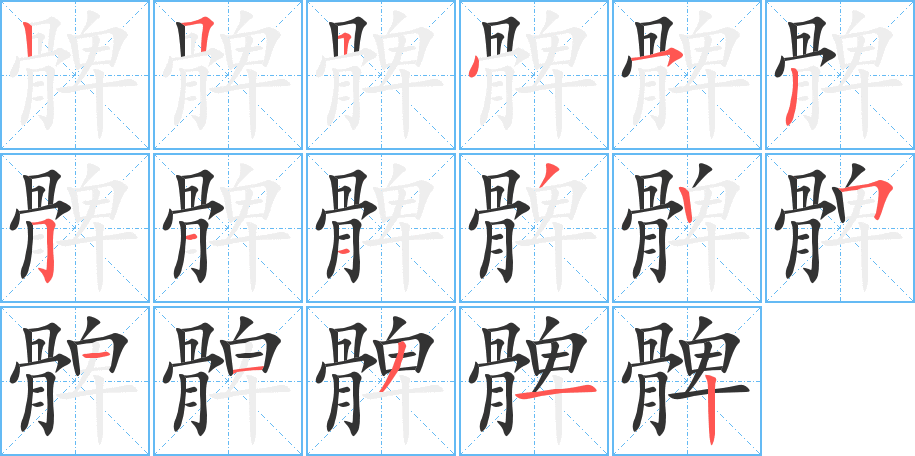 髀字的分步写法