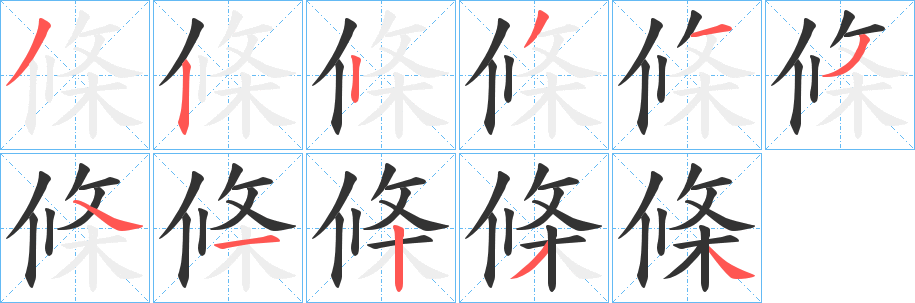 條字的分步写法