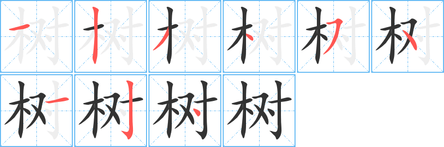 树字的分步写法