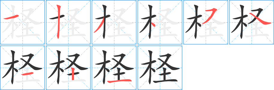 柽字的分步写法