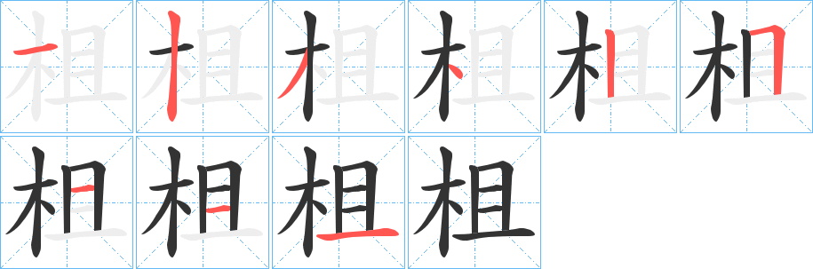 柤字的分步写法