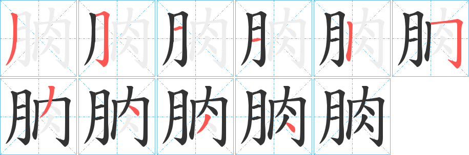 朒字的分步写法