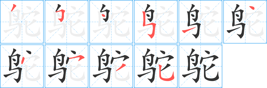 鸵字的分步写法