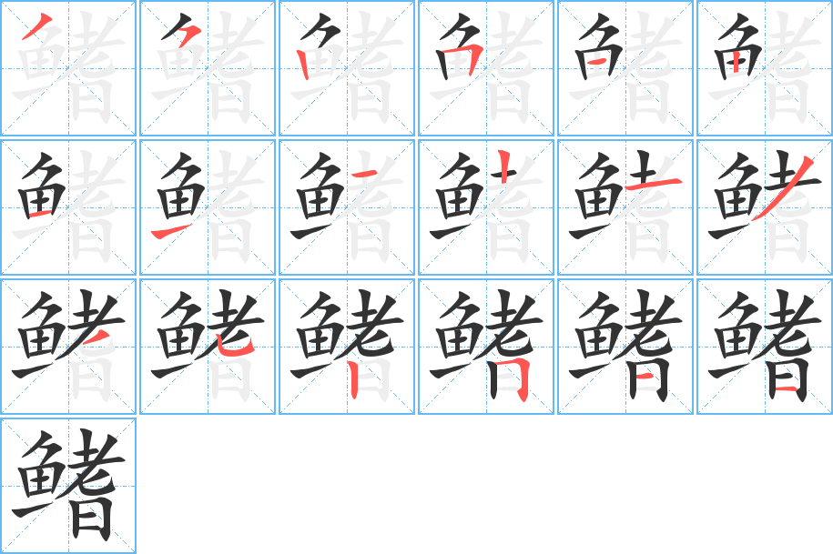 鳍字的分步写法