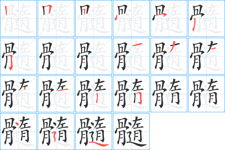 髓字的分步写法