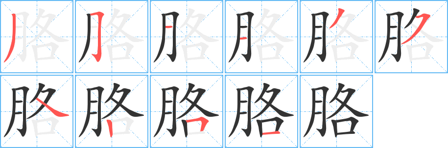 胳字的分步写法