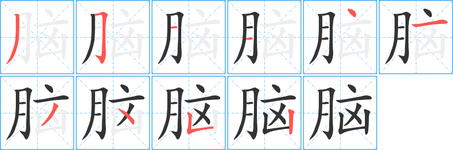 脑字的分步写法
