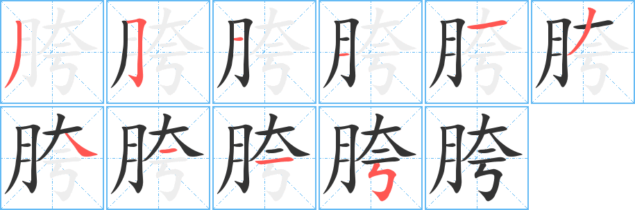 胯字的分步写法