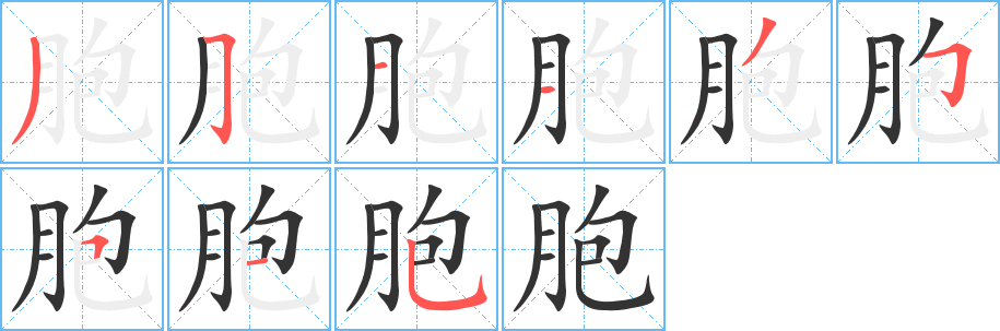 胞字的分步写法