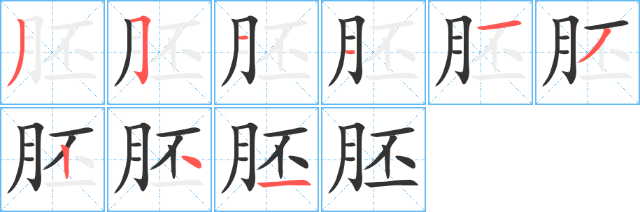 胚字的分步写法