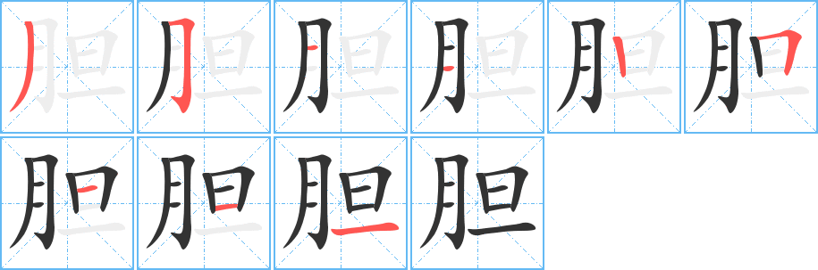 胆字的分步写法