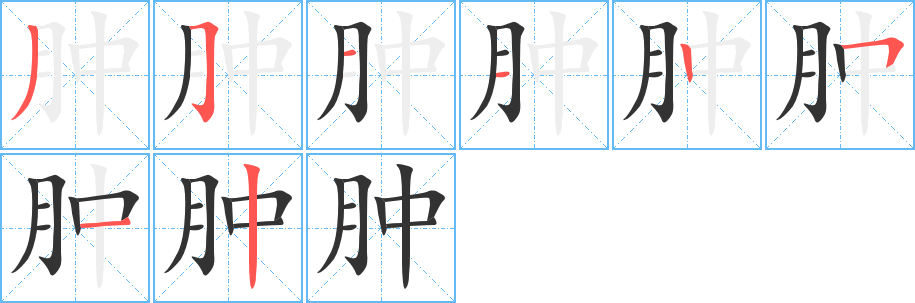 肿字的分步写法