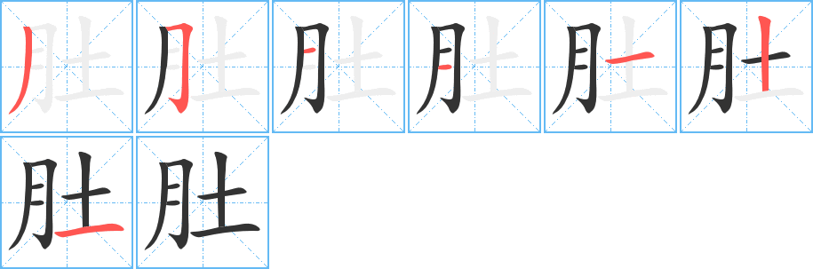 肚字的分步写法