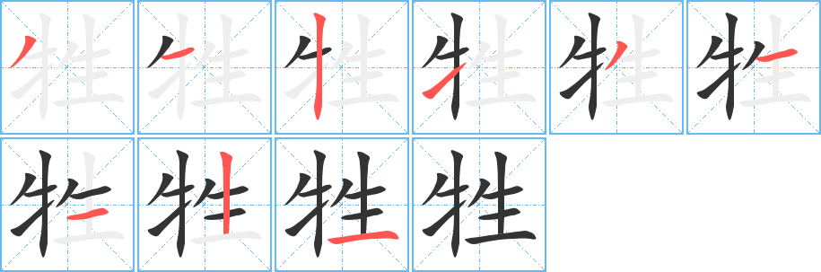 牲字的分步写法