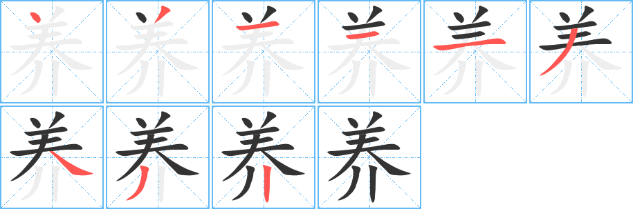 养字的分步写法