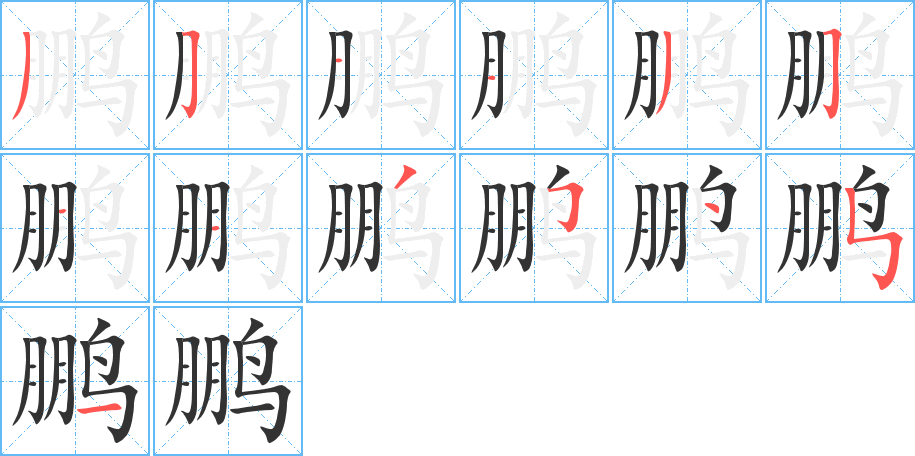 鹏字的分步写法