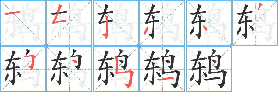 鸫字的分步写法