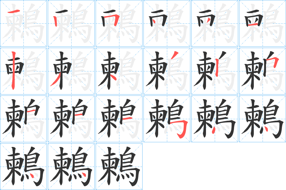 鶫字的分步写法