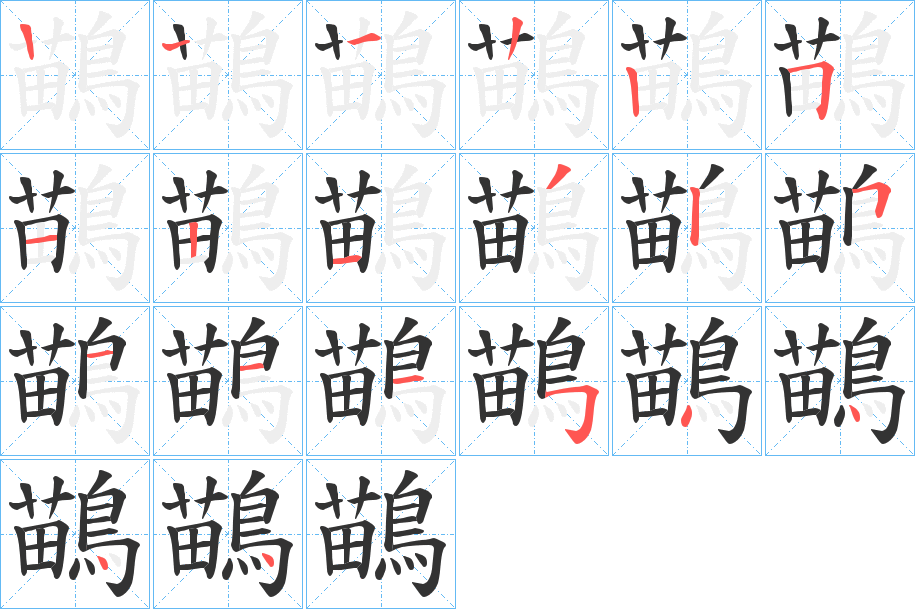 鶓字的分步写法