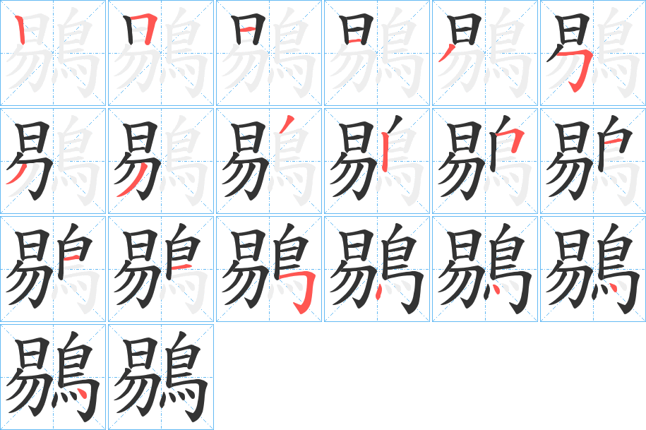 鶍字的分步写法