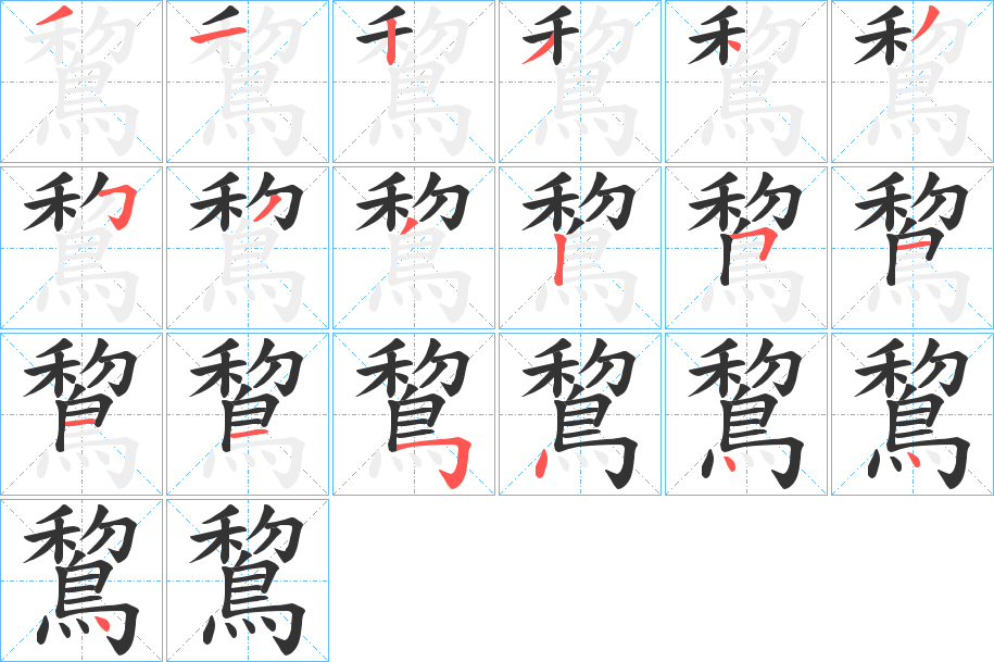 鵹字的分步写法