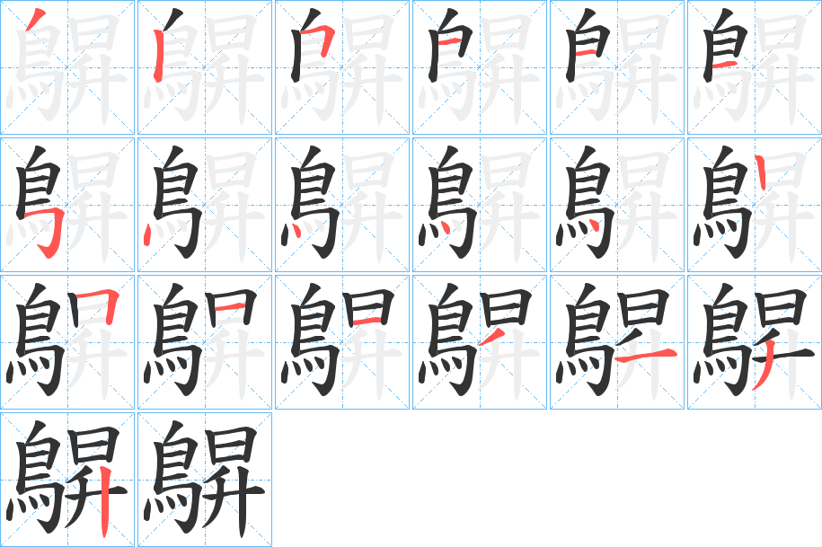 鵿字的分步写法