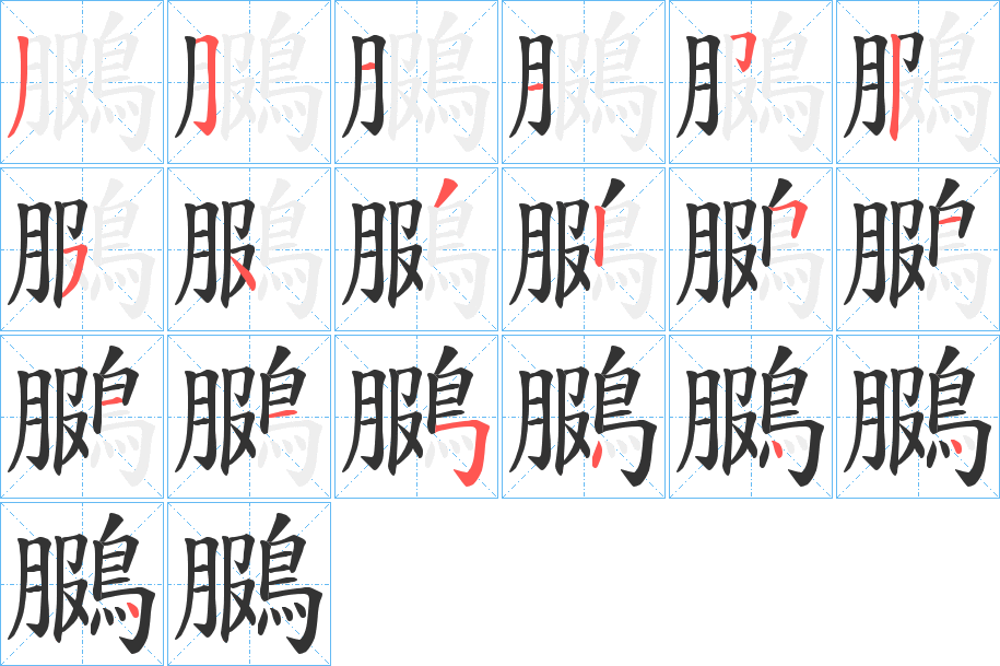 鵩字的分步写法