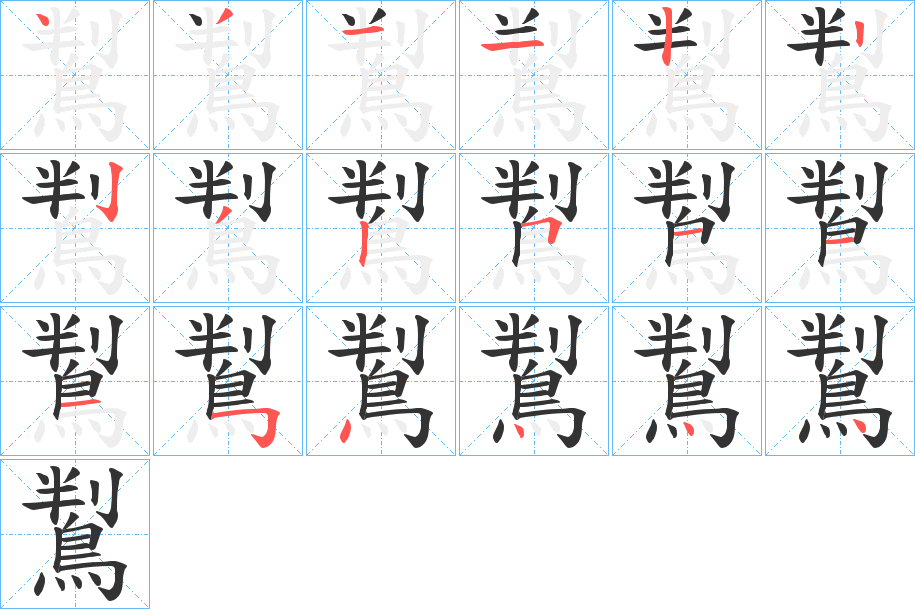 鵥字的分步写法