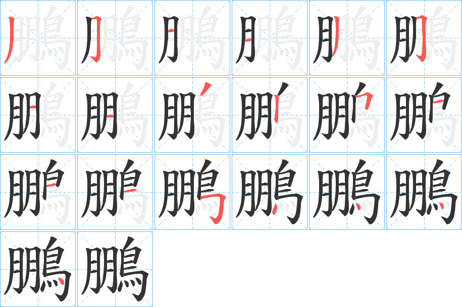 鵬字的分步写法