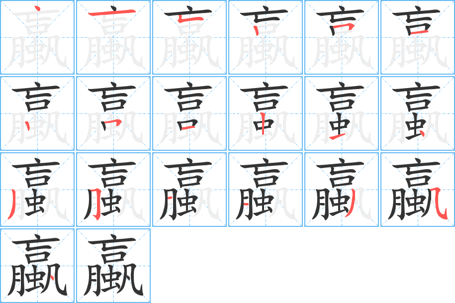 蠃字的分步写法