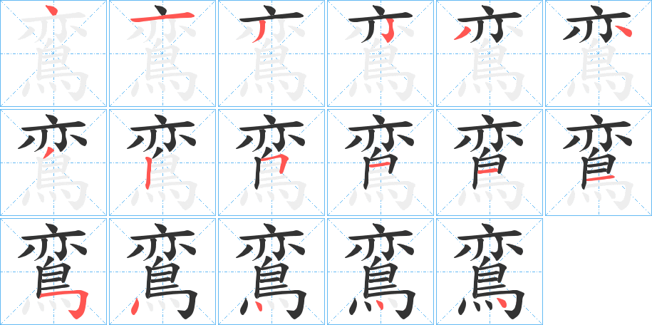 鵉字的分步写法