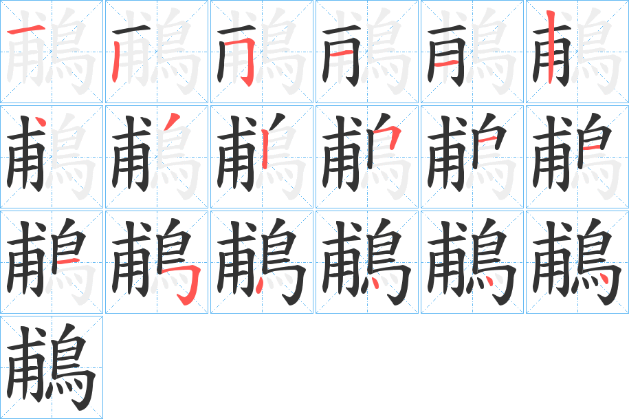 鵏字的分步写法