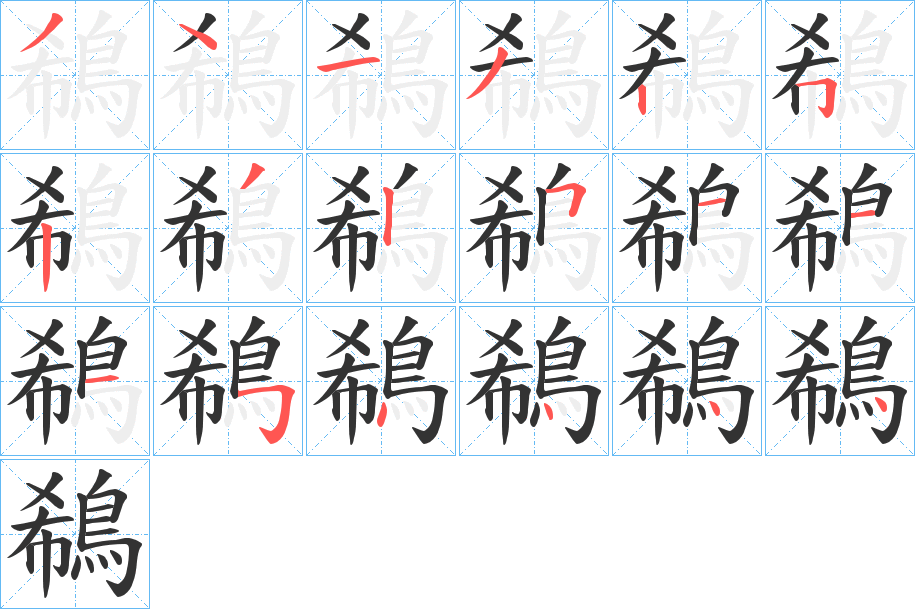 鵗字的分步写法
