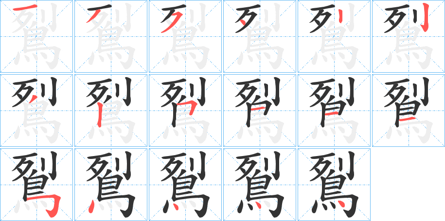 鴷字的分步写法