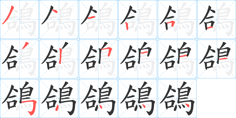 鴿字的分步写法