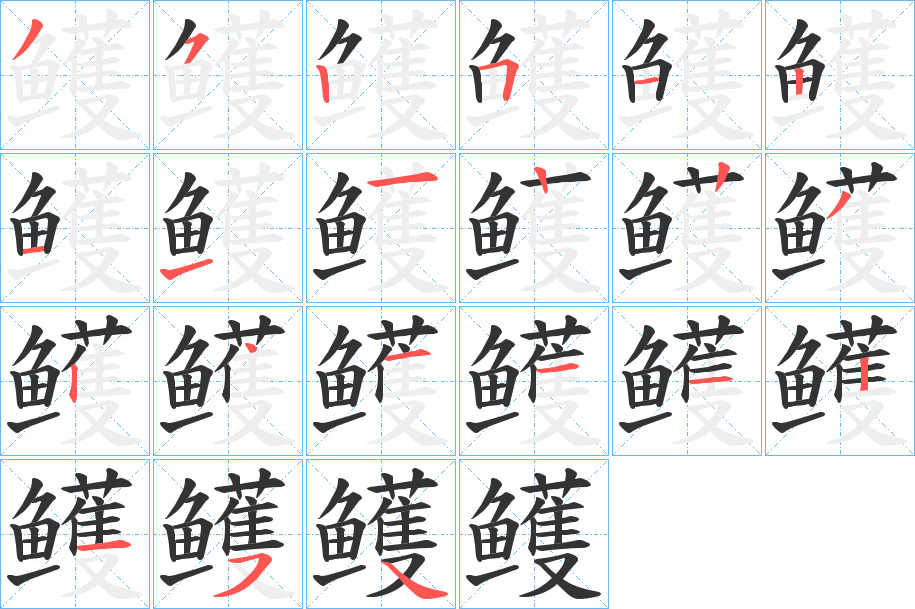 鳠字的分步写法