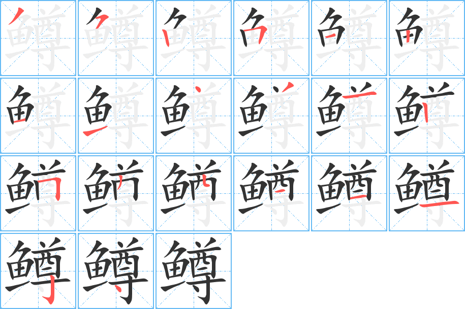 鳟字的分步写法