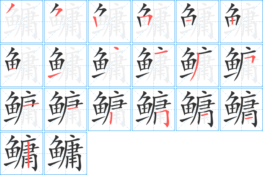 鳙字的分步写法