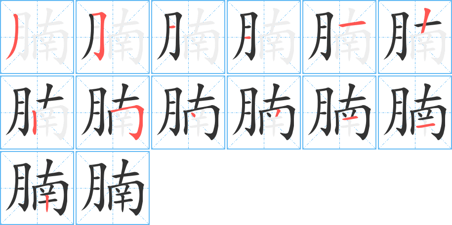 腩字的分步写法